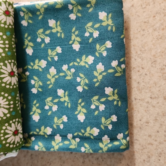 Pioneer Woman Cloth Napkins - Picture 3 of 4